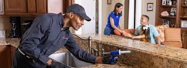 Best Pest Exclusion Services  in Lake Katrine, NY